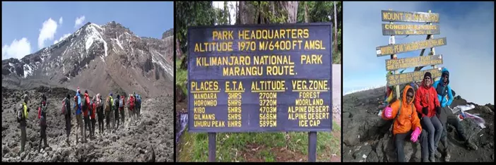 6 DAYS KILIMANJARO TREKKING