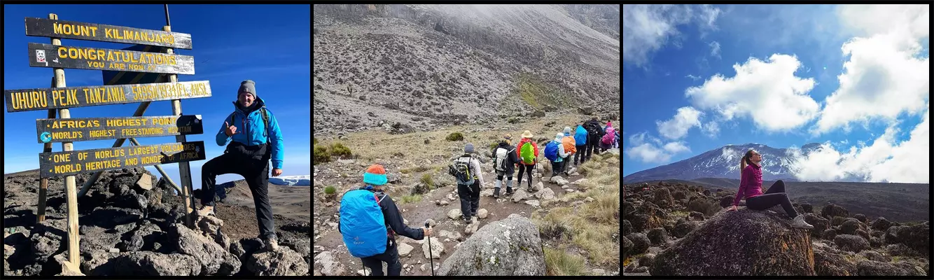 KILIMANJARO TREKKING SAFARIS